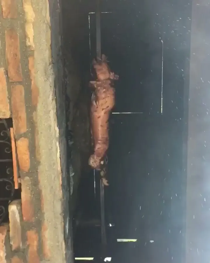 Pečenje na ražnju